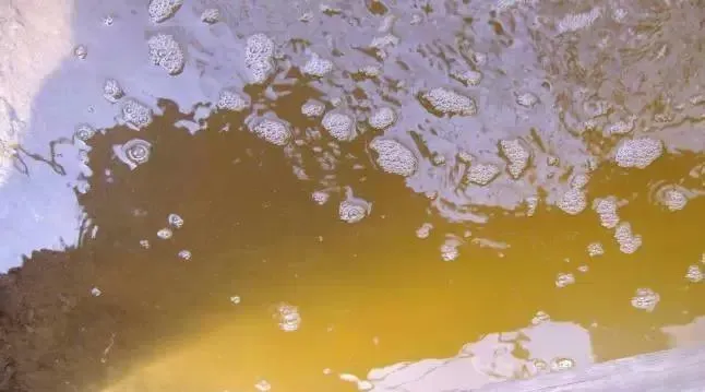 南美白对虾虾塘14种水色优劣判别与水质常见问题处理
