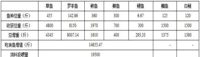 六亩小塘鱼鸭混养，竟可增值上万元！