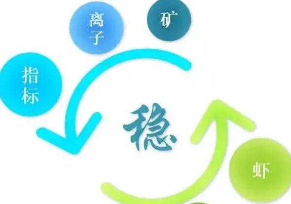 冬棚对虾养殖过程中水质管理的重中之重：稳！