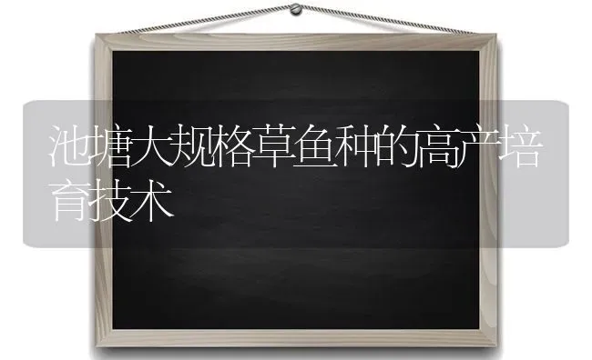 池塘大规格草鱼种的高产培育技术 | 淡水养殖