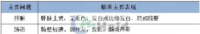 早春黄颡鱼肝肠问题达93.7%，存塘鱼没有你想像中的健康