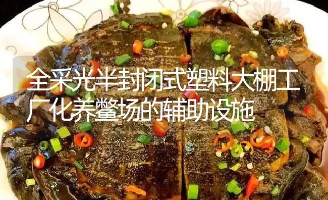 全采光半封闭式塑料大棚工厂化养鳖场的辅助设施 | 淡水养殖