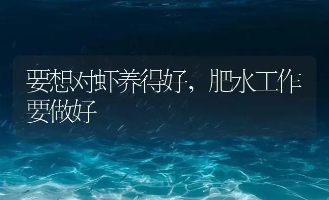 要想对虾养得好，肥水工作要做好 | 海水养殖