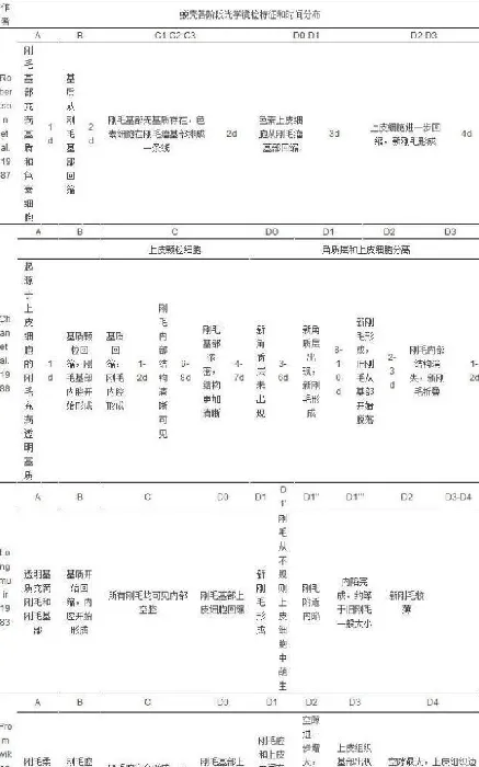 【外文翻译】对虾外壳：角质层与蜕壳周期