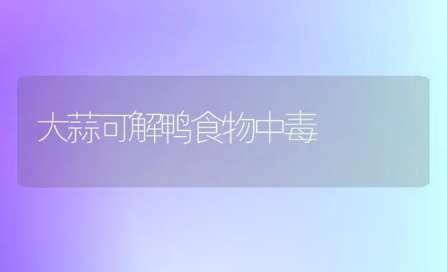 大蒜可解鸭食物中毒 | 家禽养殖