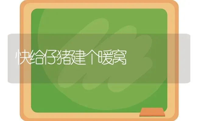 快给仔猪建个暖窝 | 家畜养殖