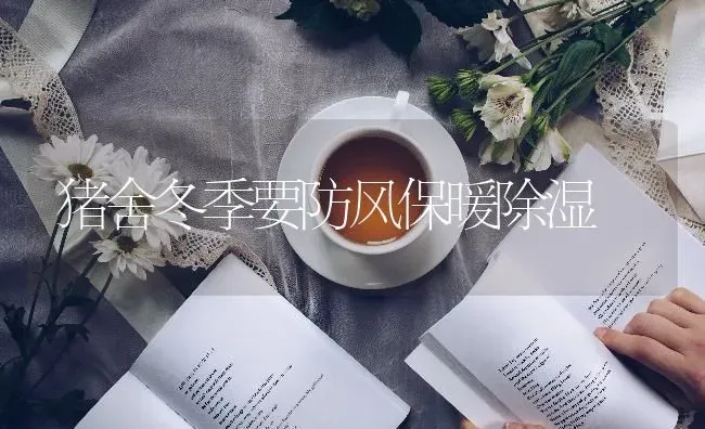 猪舍冬季要防风保暖除湿 | 家畜养殖