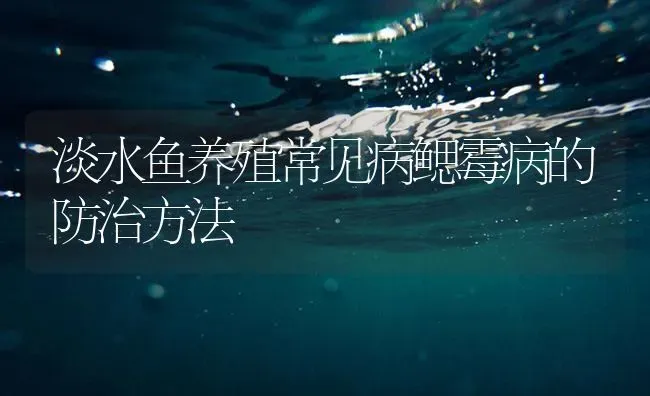 淡水鱼养殖常见病鳃霉病的防治方法 | 养殖病虫害防治