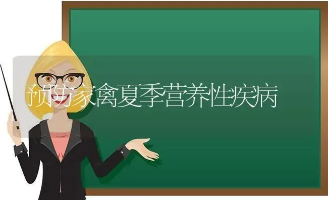 预防家禽夏季营养性疾病 | 家禽养殖