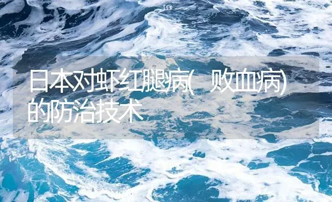 日本对虾红腿病(败血病)的防治技术 | 海水养殖