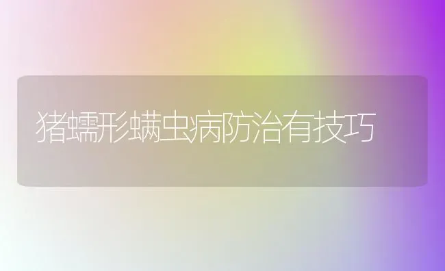 猪蠕形螨虫病防治有技巧 | 家畜养殖