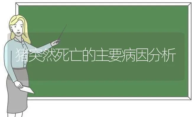 猪突然死亡的主要病因分析 | 家畜养殖