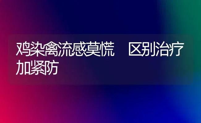 鸡染禽流感莫慌 区别治疗加紧防 | 家禽养殖