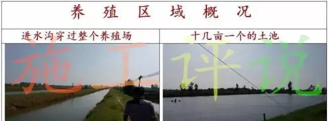 鱼虾混养科学是解决目前对虾养殖瓶颈手段？