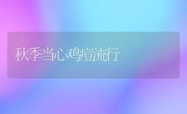 秋季当心鸡痘流行 | 家禽养殖