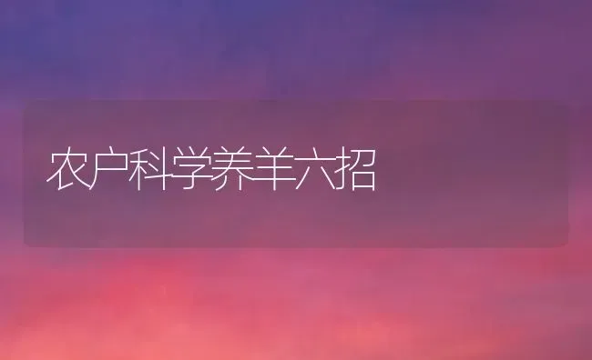 农户科学养羊六招 | 家畜养殖