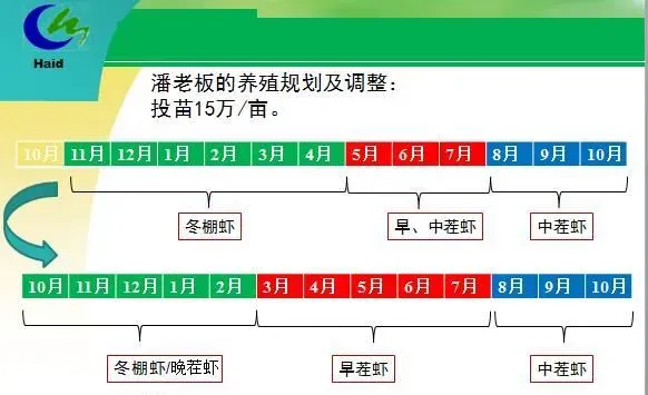 海南海口演丰镇、澄迈县桥头镇冬棚对虾养殖模式分享