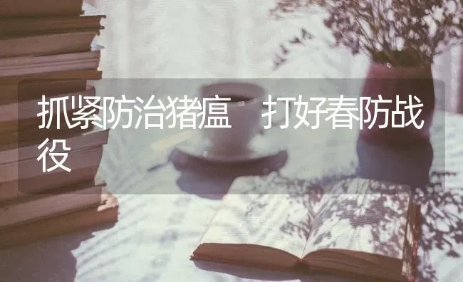 抓紧防治猪瘟 打好春防战役 | 家畜养殖