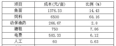 六亩小塘鱼鸭混养，竟可增值上万元！