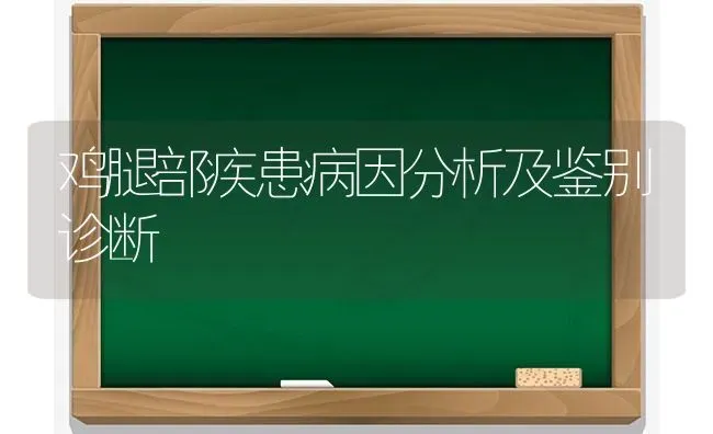 鸡腿部疾患病因分析及鉴别诊断 | 家禽养殖