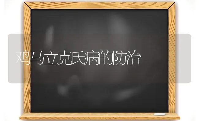 鸡马立克氏病的防治 | 家禽养殖