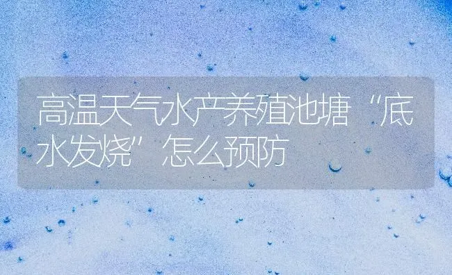 高温天气水产养殖池塘“底水发烧”怎么预防 | 动物养殖百科