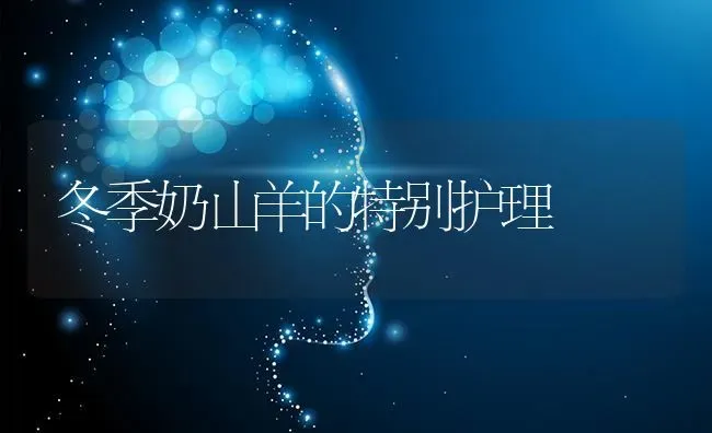 冬季奶山羊的特别护理 | 家畜养殖