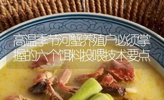 高温季节河蟹养殖户必须掌握的六个饵料投喂技术要点 | 淡水养殖