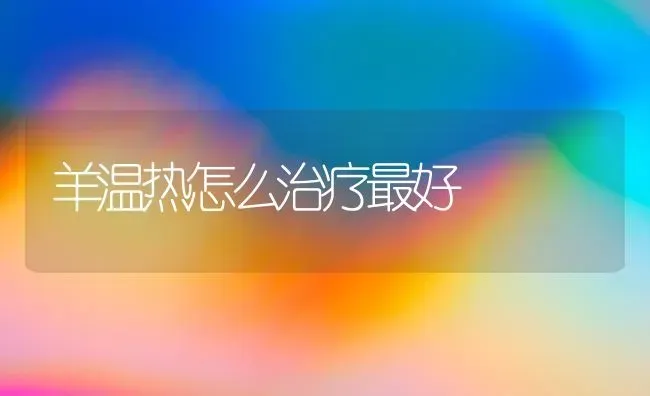 羊温热怎么治疗最好 | 家畜养殖