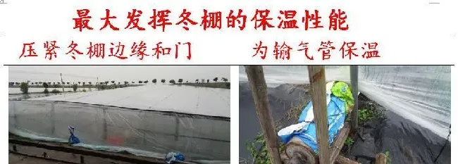 这波冷空气猛如虎，各地气温大跳水！水产养殖户如何做好准备？