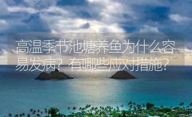 高温季节池塘养鱼为什么容易发病？有哪些应对措施？ | 养殖病虫害防治