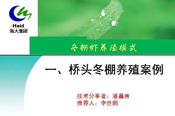 海南海口演丰镇、澄迈县桥头镇冬棚对虾养殖模式分享