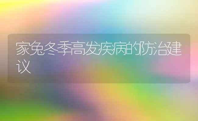 家兔冬季高发疾病的防治建议 | 家畜养殖