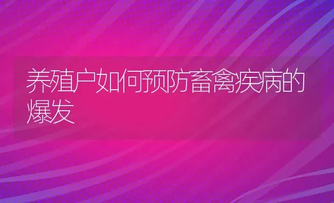 养殖户如何预防畜禽疾病的爆发 | 家禽养殖