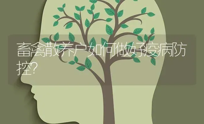 畜禽散养户如何做好疫病防控？ | 家禽养殖