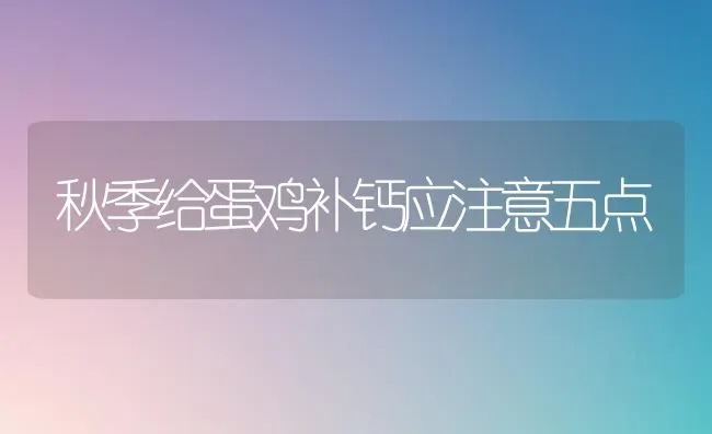 秋季给蛋鸡补钙应注意五点 | 家禽养殖