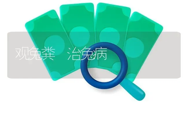 观兔粪 治兔病 | 家畜养殖