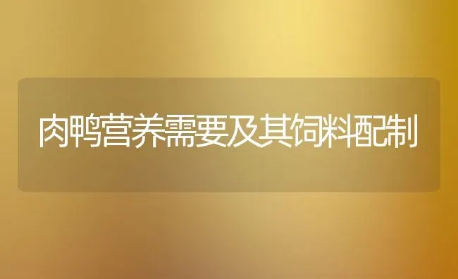 肉鸭营养需要及其饲料配制 | 家禽养殖
