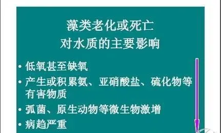 藻类的老化或死亡对水质主要有四个方面的影响
