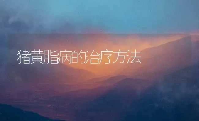 猪黄脂病的治疗方法 | 家畜养殖