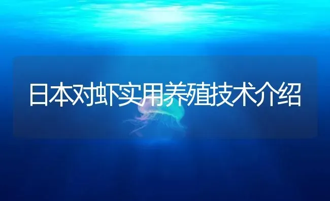 日本对虾实用养殖技术介绍 | 海水养殖