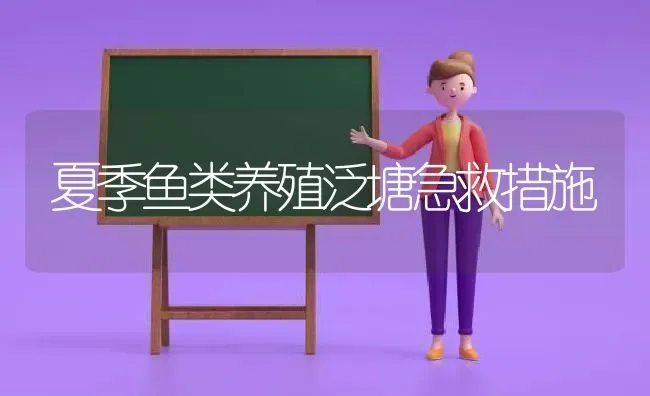 笼养种公鸡的要点 | 家禽养殖