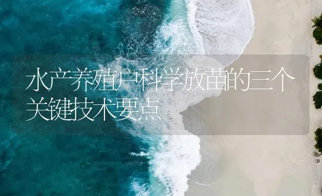 水产养殖户科学放苗的三个关键技术要点 | 淡水养殖