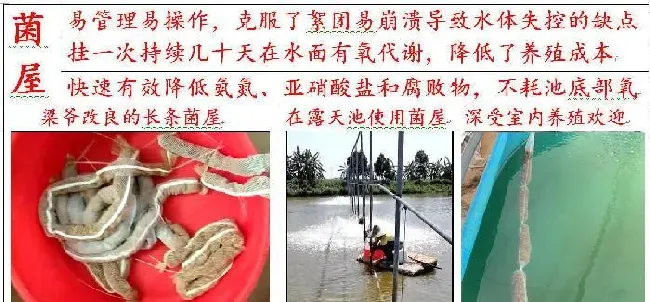 这波冷空气猛如虎，各地气温大跳水！水产养殖户如何做好准备？