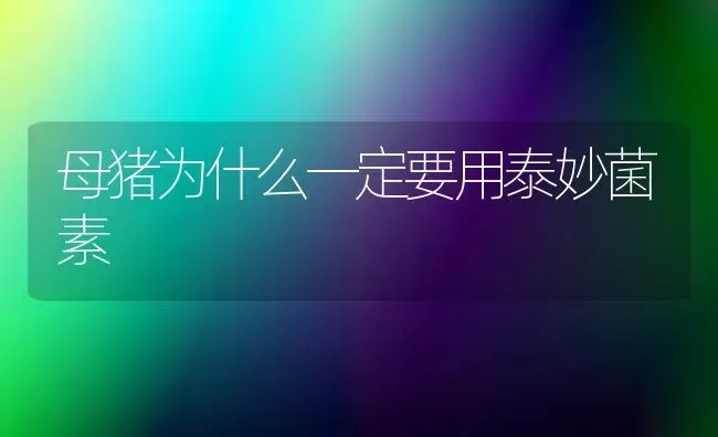 母猪为什么一定要用泰妙菌素 | 家畜养殖