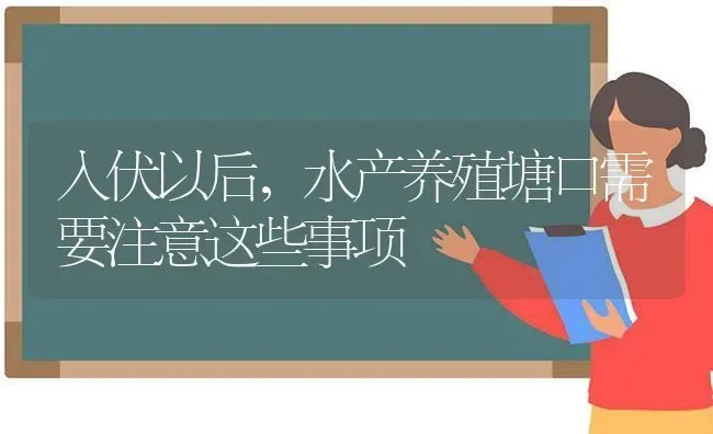 入伏以后，水产养殖塘口需要注意这些事项 | 动物养殖百科