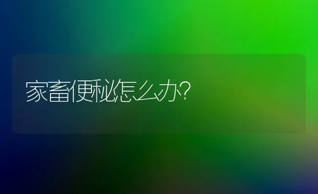 家畜便秘怎么办？ | 家畜养殖