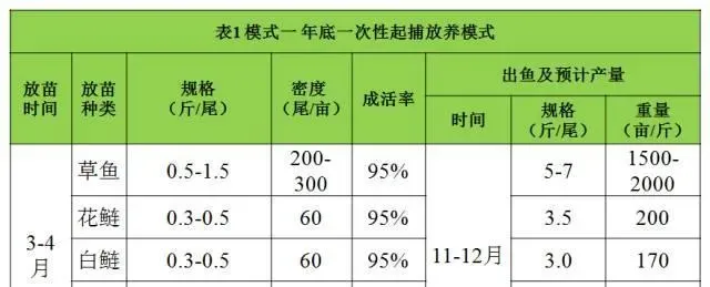 广东佛山芦苞市场大草鱼养殖模式分析与优化