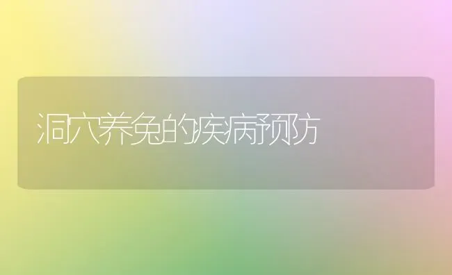 洞穴养兔的疾病预防 | 家畜养殖