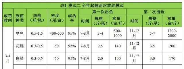 广东佛山芦苞市场大草鱼养殖模式分析与优化